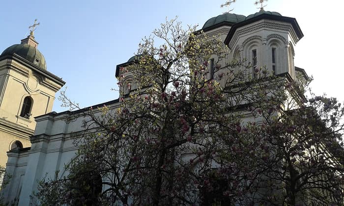 Klosteranlage Radu Vodă, Ansicht 4