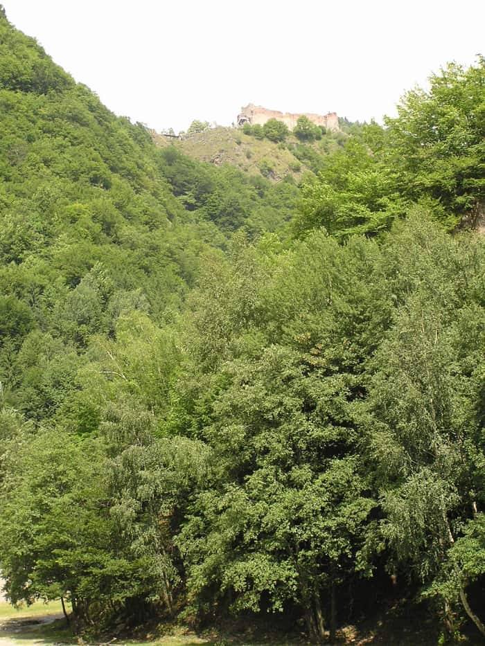 Les ruines de la citadelle de Poenari, seconde vue