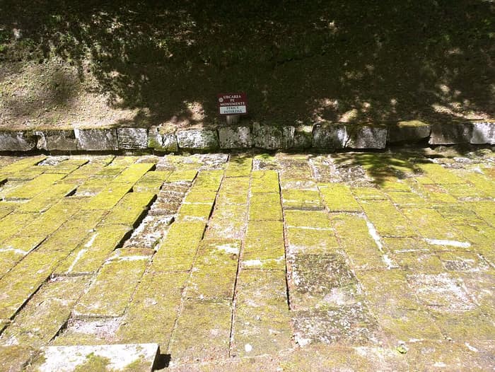Entrée de la citadelle de Sarmizegetusa, vue 4