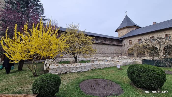 Mănăstirea Sucevița, imaginea 2